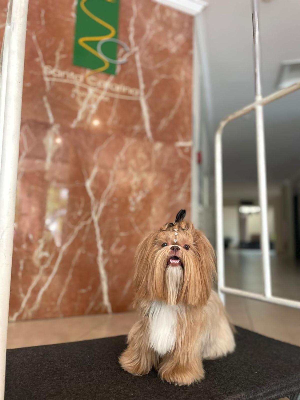 圣卡塔琳娜广场酒店 Canoinhas 外观 照片